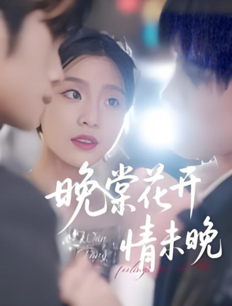 晚棠花开情未晚(全集)