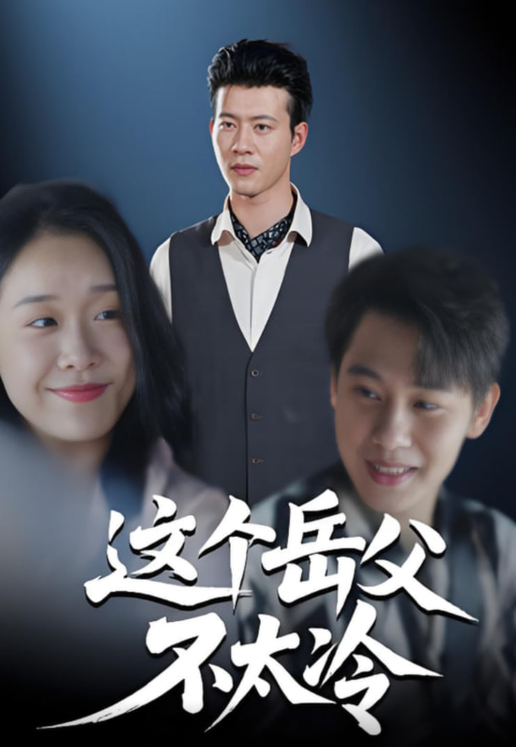 这个岳父不太冷(全集)