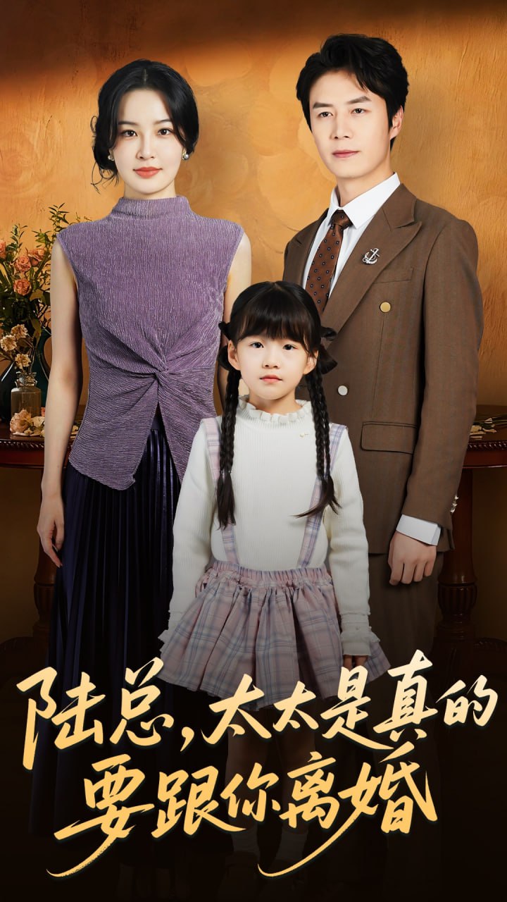 陆总太太是真的要跟你离婚(全集)