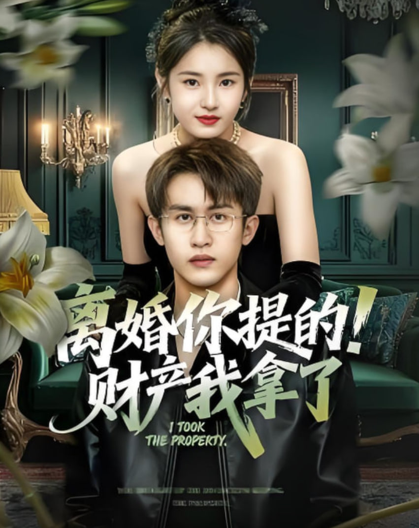 离婚你提的！财产我拿了(全集)