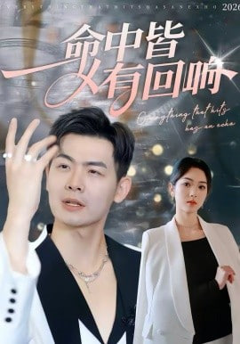 命中皆有回响(全集)