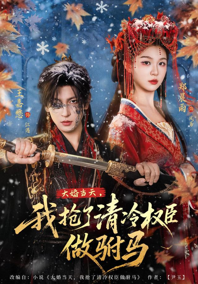 大婚当天，我抢了清冷权臣做驸马(全集)